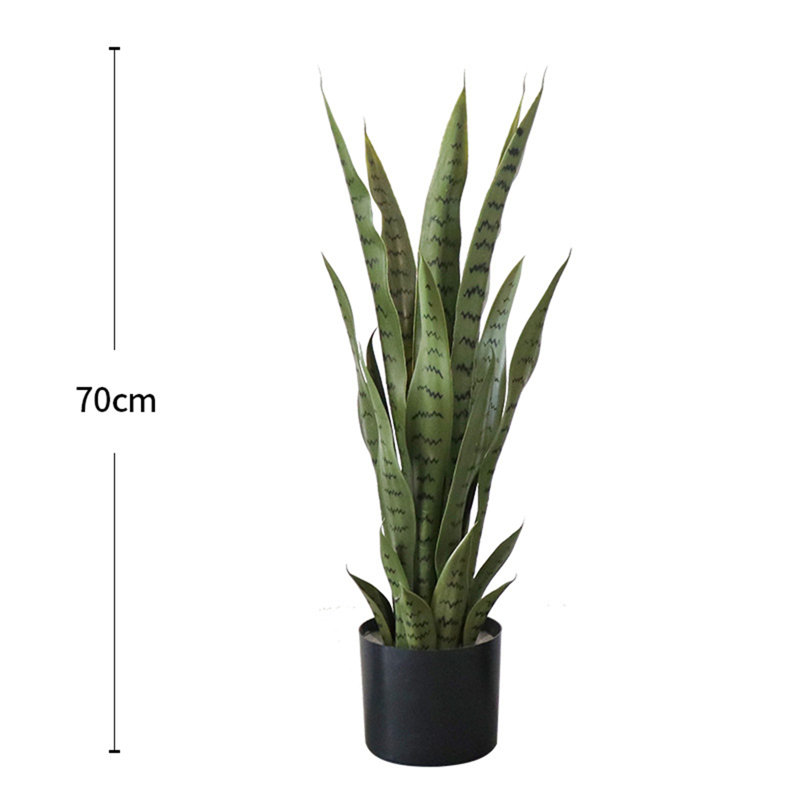 70cm Plant