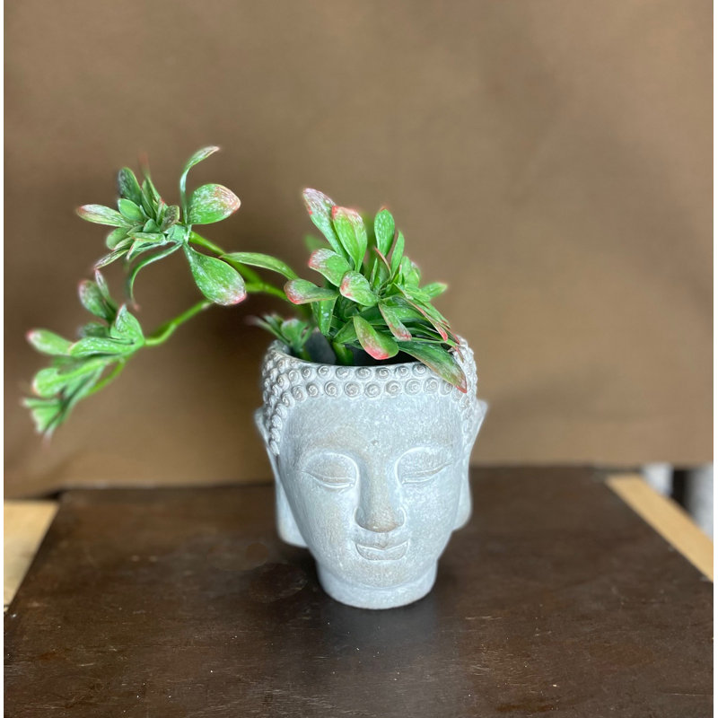Kyza Wall Planter, 5.4" H x 4.9" W x 4.3" D