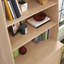 Emriye Bookcase