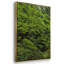 Calme de la forêt, peinture sur toile 3 pièces-775100348-775100339