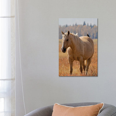 Hitching A Ride I by Susan Vizvary - Wrapped Canvas Print
