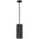 Courter 1 - Light Single Pendant