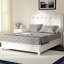 Lit tapissier standard Ambrosina Clarkstown-245529039-245529037