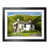 Black Wood Frame is unavailable