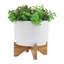 Panneau de papier peint Bennink Tropical Monstera-1503333986