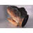 T-Rex Dinosaur Head Medium Life Size Statue
