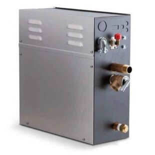 Steam Generator with Durable Electronic