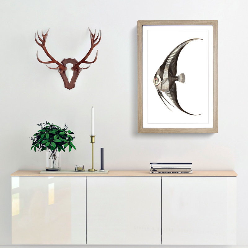 Chaetodon Fish by George Shaw - Framed Print, Oak Framed, 48cm H x 36cm W x 2cm D
