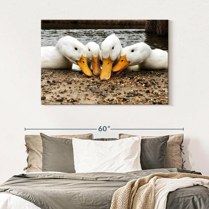 Pekin Ducks de Brampt, H 32 po x l 48 po