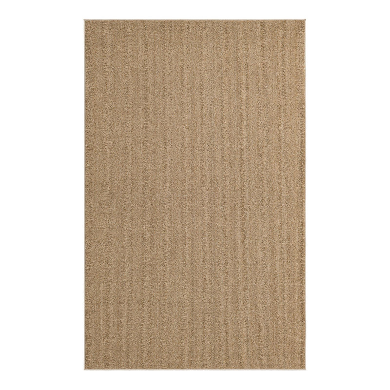 Chesire Indoor/Outdoor Area Rug, Rectangle 5'3" x 8'