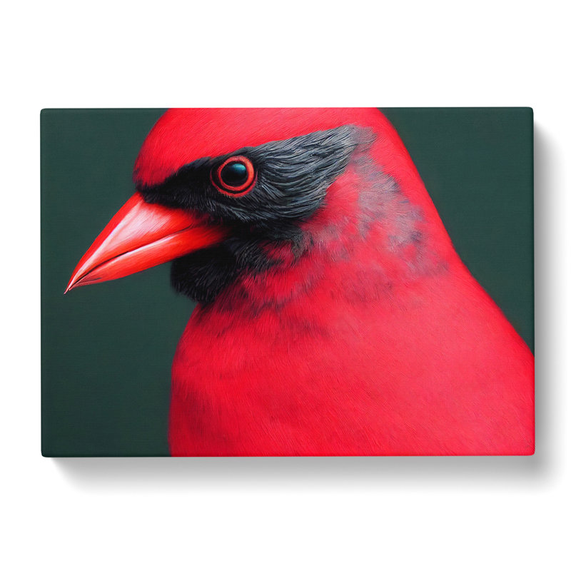 Cardinal Bird - Wrapped Canvas, 35cm H x 50cm W x 3cm D