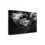 Art sur toile «Bachelor»-109226618