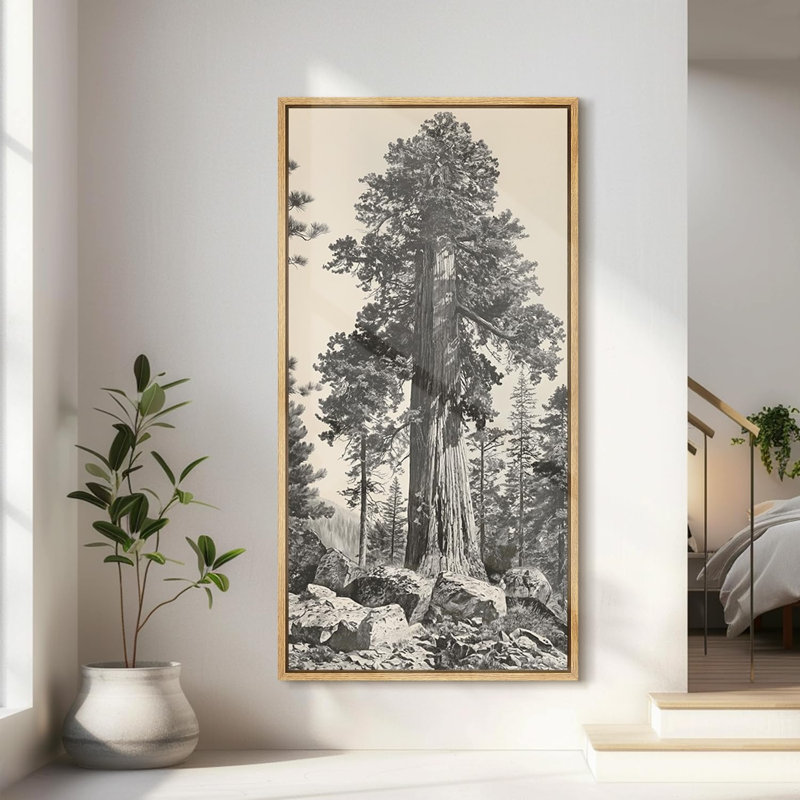 Vintage Pine Tree Drawing Classic Country Rustic Artwork - Extra Large Framed Wall Art Canvas Print, 60" H x 30" W, Natural