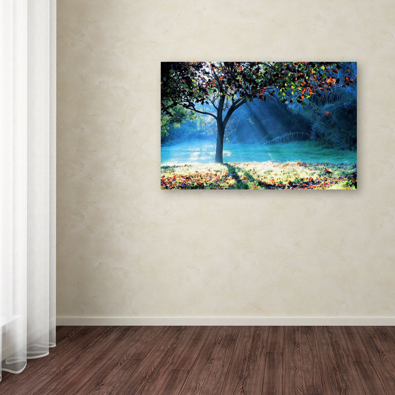 « rayons of espère », reproduction de photo sur toile tendue, H 30 po x l 47 po x P 2 po