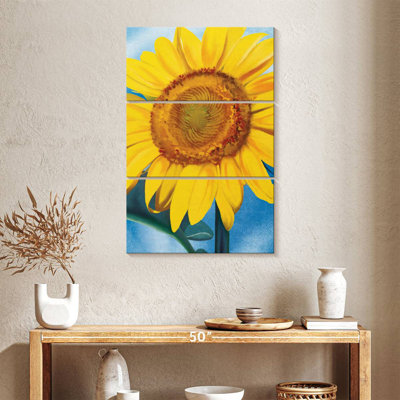 Tournesol jaune Harnek