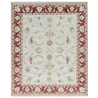 Hand-Knotted High-Quality Ivory Area Rug
