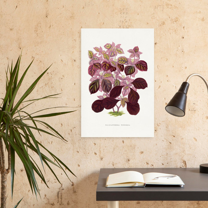Rose, Teleianthera Ficoidea, feuille, abstrait, rétro, rétro, fleur de lilas, art mural, H 24 po x l 16 po