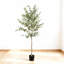 Olive artificielle avec pot