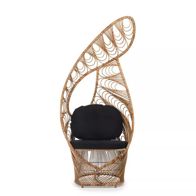 Peacock Chair