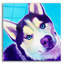 «Husky - Dico» par Dawg Painter-1614627669