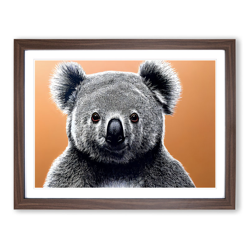 The Koala Bear - Single Picture Frame Print, 34cm H x 46cm W, Dark Brown