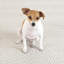 Handwoven Diamond Indoor/Outdoor Rug-124933148-30602154