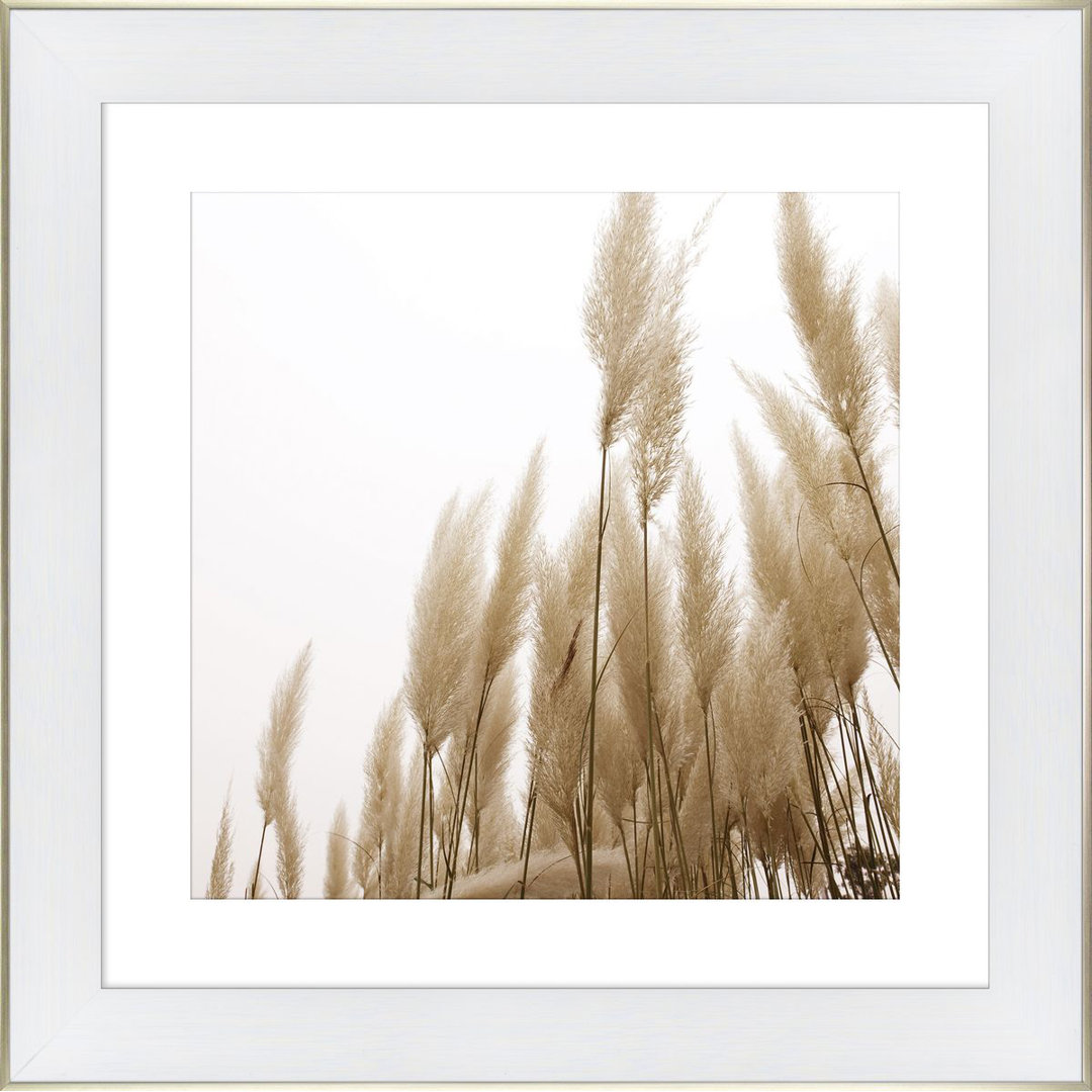 Gerahmter Fotodruck Grasses in Sepia