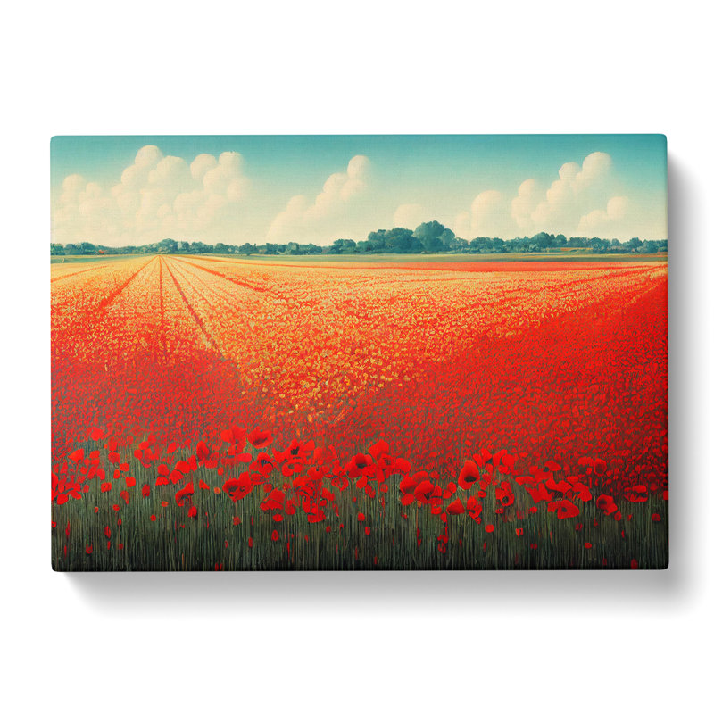 Eye Opening Poppy Field Flowers - Wrapped Canvas, 35cm H x 50cm W x 3cm D