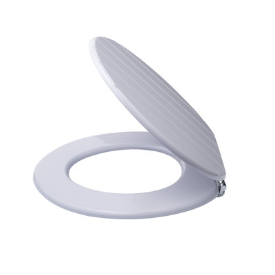 Oval Toilet Seat