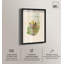 «Lily Pond Shadowbox Art botanique» par Art Remedy-118182658-118182659