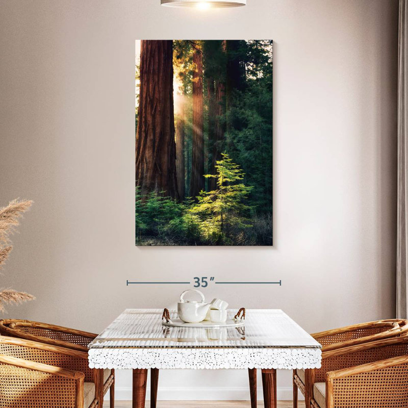 Arbres du parc national Harnek Yosemite, H 48 po x l 32 po