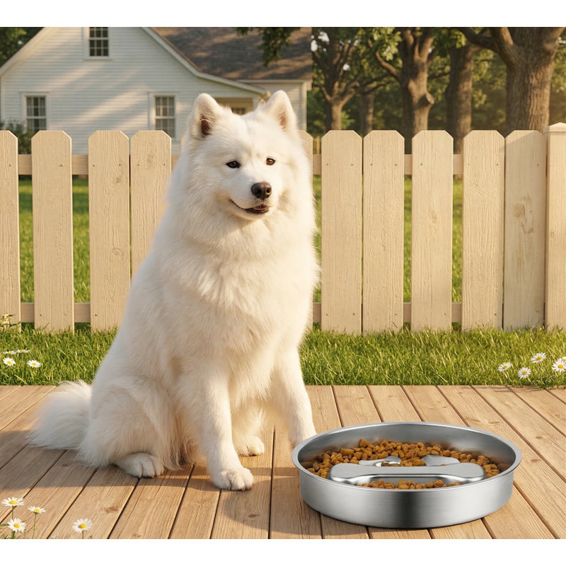 Bol pour chien à alimentation lente en acier inoxydable de 2 tasses, plaque anti-dérapante en métal, plat de labyrinthe de casse-tête pour chiens de taille moyenne
