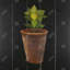 Plant of Bay Leaves - Kitchen Hygge, reproduction encadrée avec passe-partout-1012043180-1012043178