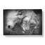 Two Snuggling Lions - Wrapped Canvas-55372049