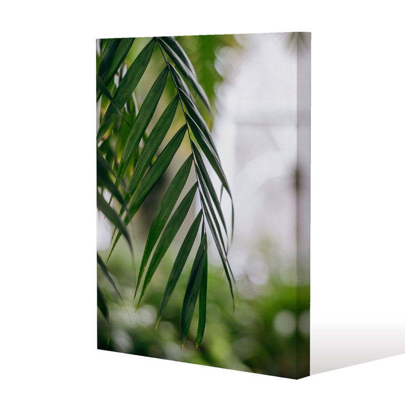 Closeup Of Green Palm Leaf by Andrew Lee - Wrapped Canvas Print, 101cm H x 77cm W x 4cm D