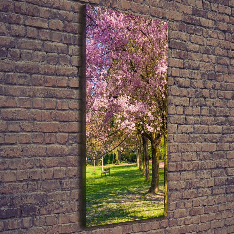 Cherry Trees - Wrapped Canvas Print