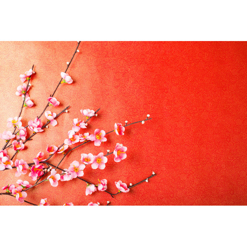 Chinese Cherry Blossom by ShutterOK - Wrapped Canvas Print, 20cm H x 30cm W