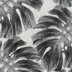 Palm Graphite - Pacifica Premium