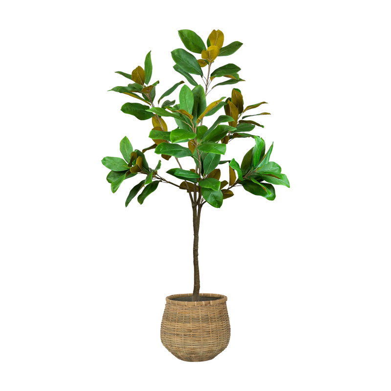 Arbre à feuilles en magnolia 62 po Samiyah