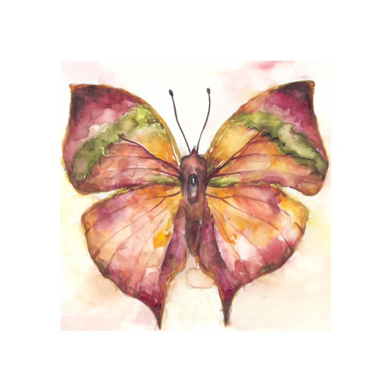Vibrant Butterfly II Print by Beverly Fuller, 24" H x 24" W x 1.5" D, Plexi