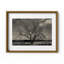 Baum Im Winter Print by Joseph Regan-66911025-66911032
