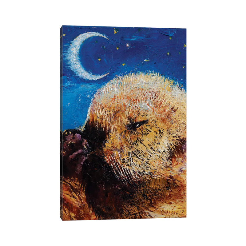 Sea Otter Pup by Michael Creese - Wrapped Canvas Gallery-Wrapped Canvas Giclée, 20.32 cm H x 30.48 cm W