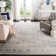 Overholt Performance Oriental Rug