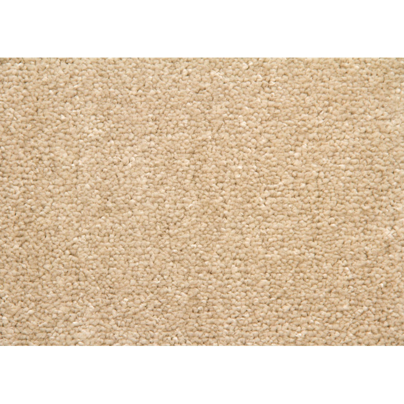 Cardero Solid Colour Area Rug, Rectangle 140 x 200cm