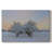 Among the Trees -Gallery Wrapped Cavas-1161675717
