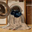  Tapis lavable Bombay Cats-1732846008