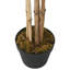 Faux Bamboo Tree Plant in Plastic Pot-440907603