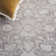 Calidia Oriental Beige/Cream Area Rug