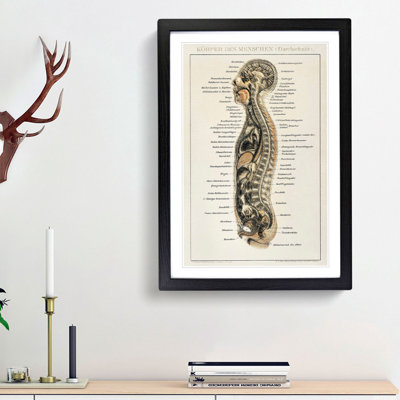 Anatomy Chart in German - Framed Print