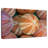 Striped Sea Urchin Shells-1207188925